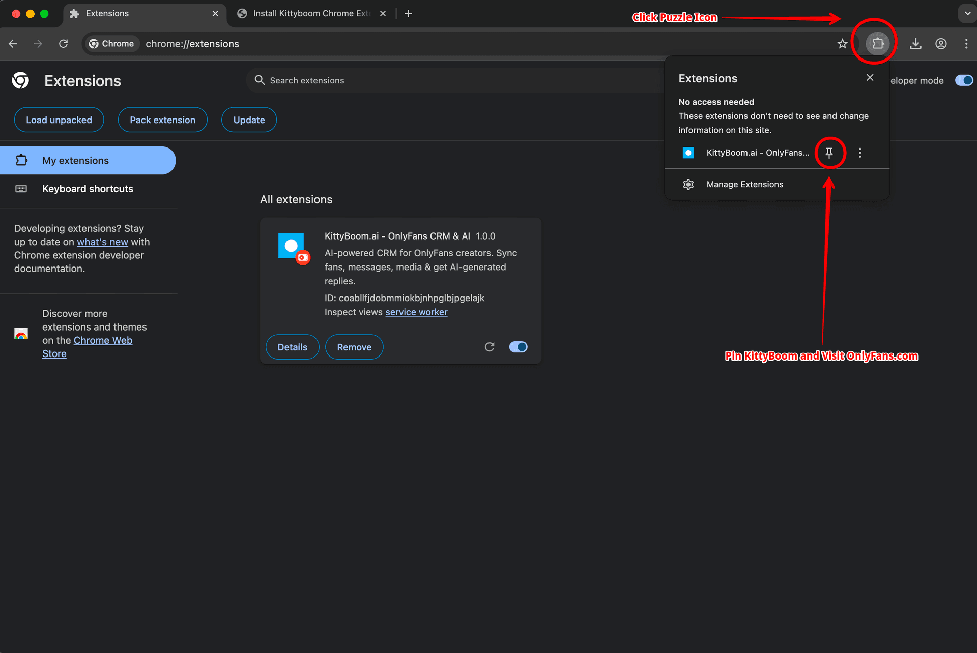 Chrome showing Kittyboom extension installed with pin option in extensions menu